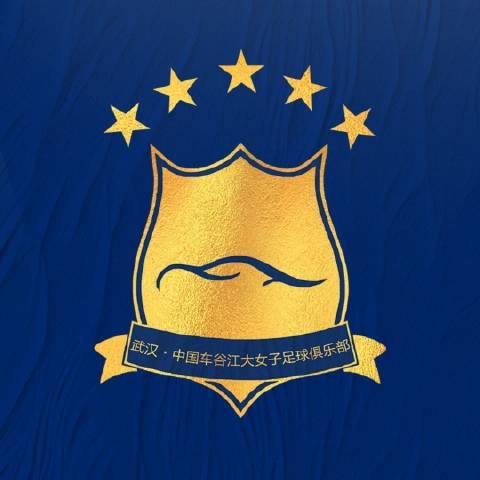 賽季初女超聯(lián)賽實施限薪、限國腳政策，車谷江大流失大批優(yōu)秀隊員