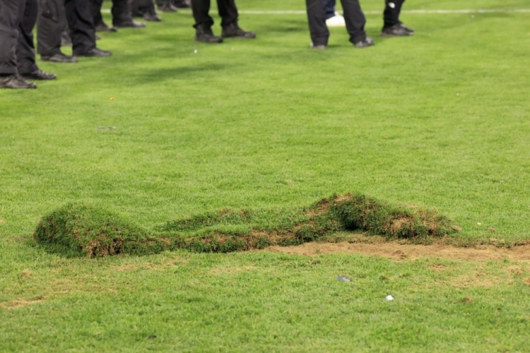 記者：球迷歐冠決賽后破壞安聯(lián)草皮，巴黎將被歐足聯(lián)罰款