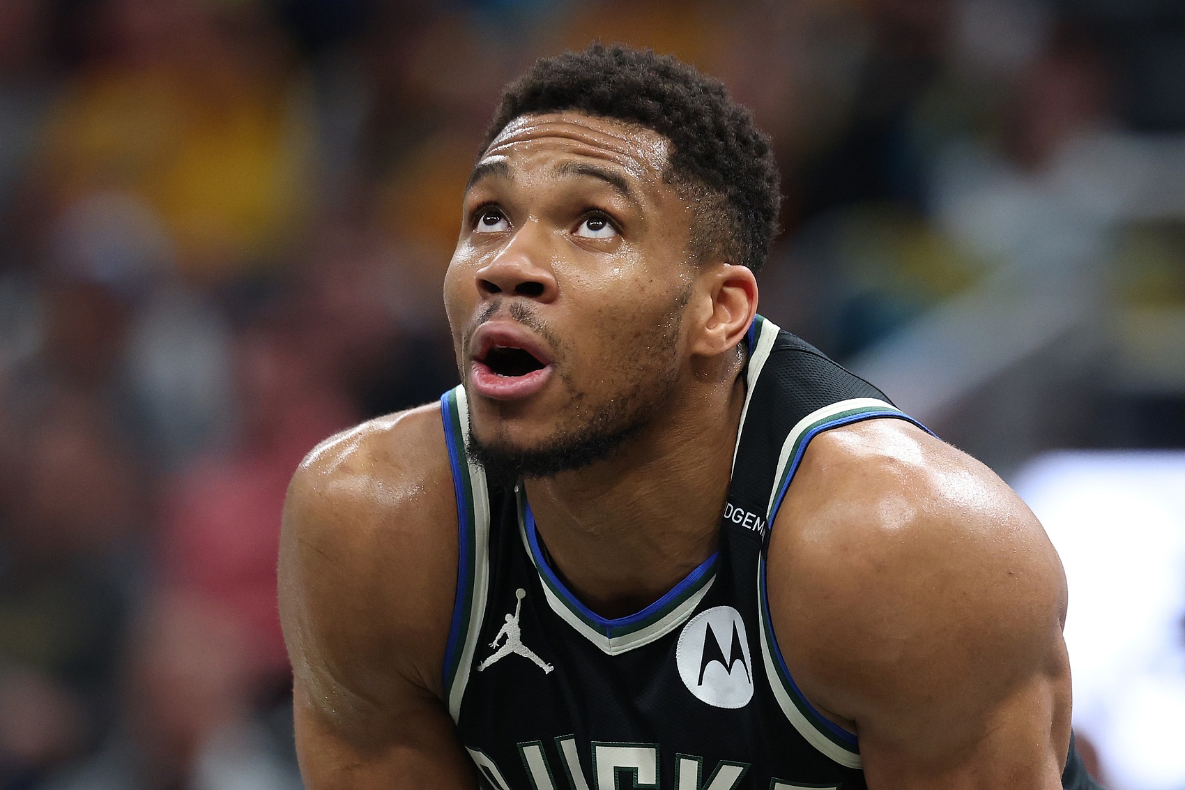 雄鹿新賽季挑戰(zhàn)：字母哥能做到什么程度？庫茲馬能否實(shí)現(xiàn)反彈？