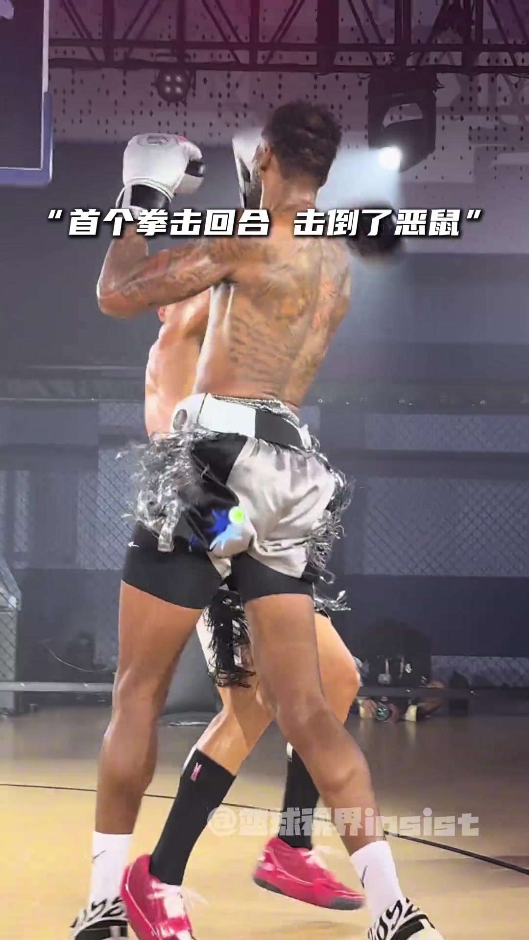 威姆斯夸張臂展拳擊全面壓制 前者砸擊后腦+左勾拳轟倒惡鼠引爭議